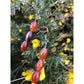 Handmade, natural red and orange agate drop earrings with 3 beads, beautiful nuances of red, orange, brown and grey,  12x8 mm size bead.  Length is 4.5 cm. Metal parts are stainless steel. Irish gorse bush background with stunning yellow flowers. West Cork