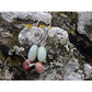 Handmade, natural Amazonite gemstone earrings, made with 2 different coloured 9.6mm tumble stones sitting on the Irish rocky shore of West cork