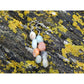 Handmade, natural Amazonite  gemstone, long drop earrings, made with 4 different coloured 9.6mm tumble stones sitting on the Irish rocky shore of West Cork
