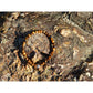 Tiger eye stone bracelet on rock. The stones have beautiful golden and brown nuances and a silky shine. 